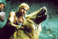 A scene from 'Amores Perros'