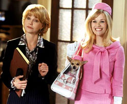 A scene from 'Legally Blonde 2: Red, White and Blonde'