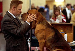 A scene from 'Best In Show'