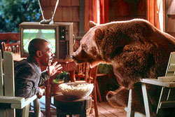 A scene from 'Dr. Dolittle 2'